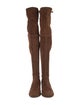 Stuart Weitzman Suede Boots