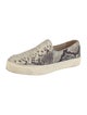 Stuart Weitzman Leather Animal Print Sneakers
