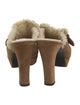 Stuart Weitzman Suede Mules
