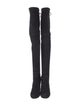 Stuart Weitzman Suede Boots