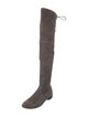 Stuart Weitzman Suede Boots