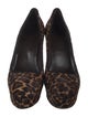 Stuart Weitzman Ponyhair Animal Print Pumps