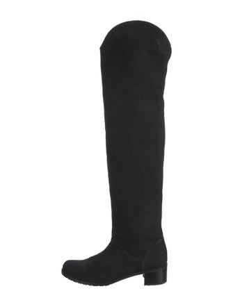 Stuart Weitzman Suede Boots