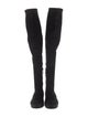 Stuart Weitzman Suede Boots