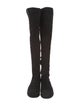 Stuart Weitzman Suede Boots