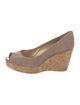 Stuart Weitzman Suede Pumps