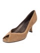 Stuart Weitzman Suede Lasercut Accents Pumps