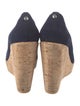 Stuart Weitzman Suede Pumps