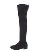 Stuart Weitzman Suede Boots