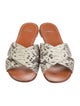 Stuart Weitzman Leather Animal Print Slides