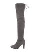 Stuart Weitzman Suede Boots