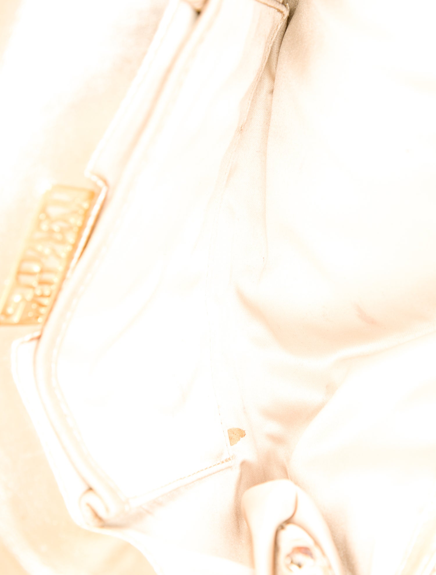 Stuart Weitzman Python Clutch