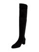 Stuart Weitzman Suede Boots