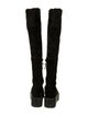 Stuart Weitzman Suede Boots