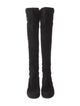 Stuart Weitzman Suede Boots