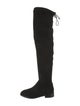 Stuart Weitzman Suede Boots