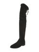 Stuart Weitzman Suede Boots