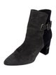 Stuart Weitzman Suede Boots