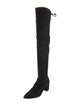 Stuart Weitzman Suede Boots