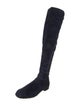 Stuart Weitzman Suede Boots