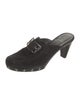 Stuart Weitzman Suede Mules