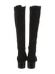 Stuart Weitzman Suede Riding Boots