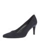 Stuart Weitzman Suede Pumps