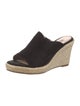 Stuart Weitzman Suede Espadrilles