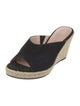Stuart Weitzman Suede Espadrilles