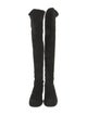 Stuart Weitzman Suede Boots