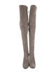 Stuart Weitzman Suede Boots