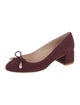 Stuart Weitzman Suede Bow Accents Pumps