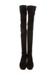 Stuart Weitzman Suede Boots