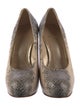 Stuart Weitzman Snakeskin Animal Print Pumps