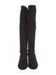 Stuart Weitzman Suede Boots