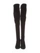 Stuart Weitzman Suede Boots