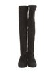 Stuart Weitzman Suede Boots