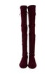 Stuart Weitzman Suede Boots