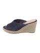 Stuart Weitzman Suede Espadrilles