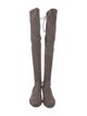 Stuart Weitzman Suede Boots