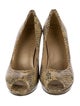 Stuart Weitzman Embossed Leather Animal Print Pumps
