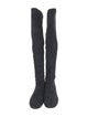 Stuart Weitzman Suede Boots