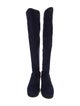 Stuart Weitzman Suede Boots