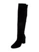 Stuart Weitzman Suede Boots