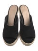 Stuart Weitzman Suede Espadrilles