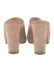 Stuart Weitzman Suede Mules