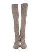 Stuart Weitzman Suede Boots