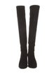 Stuart Weitzman Suede Boots