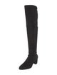 Stuart Weitzman Suede Boots
