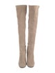 Stuart Weitzman Suede Boots